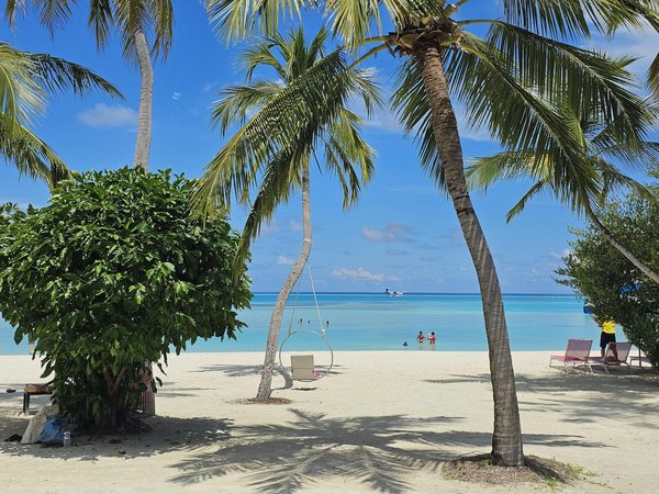 La jungle dans la ville : séjour nature en milieu urbain