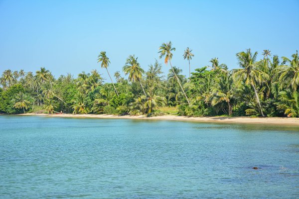 Comment optimiser votre expérience culturelle en croisière